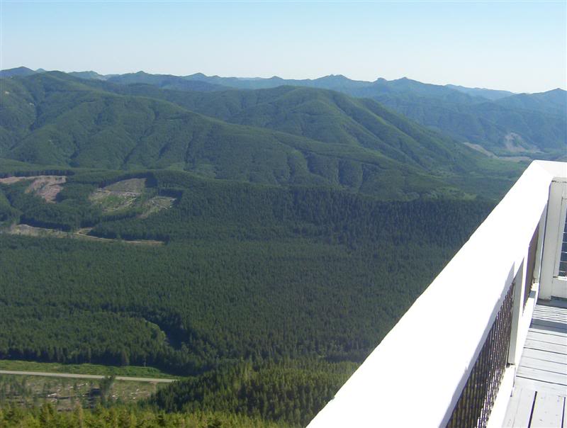 Name:  100_5330Medium.jpg
Views: 63
Size:  52.4 KB