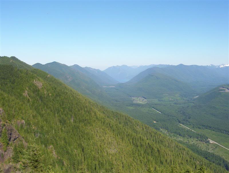 Name:  100_5329Medium.jpg
Views: 42
Size:  51.6 KB