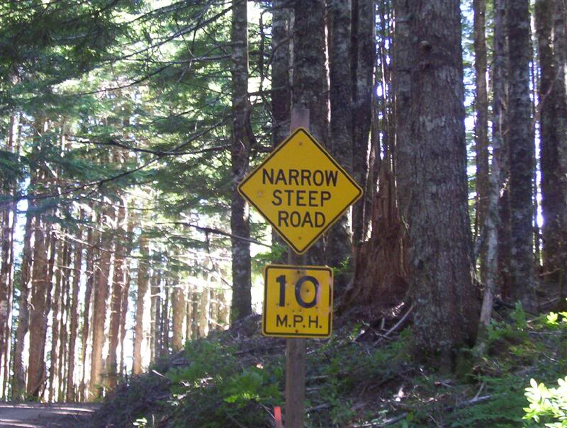 Name:  100_5348Medium.jpg
Views: 62
Size:  109.8 KB