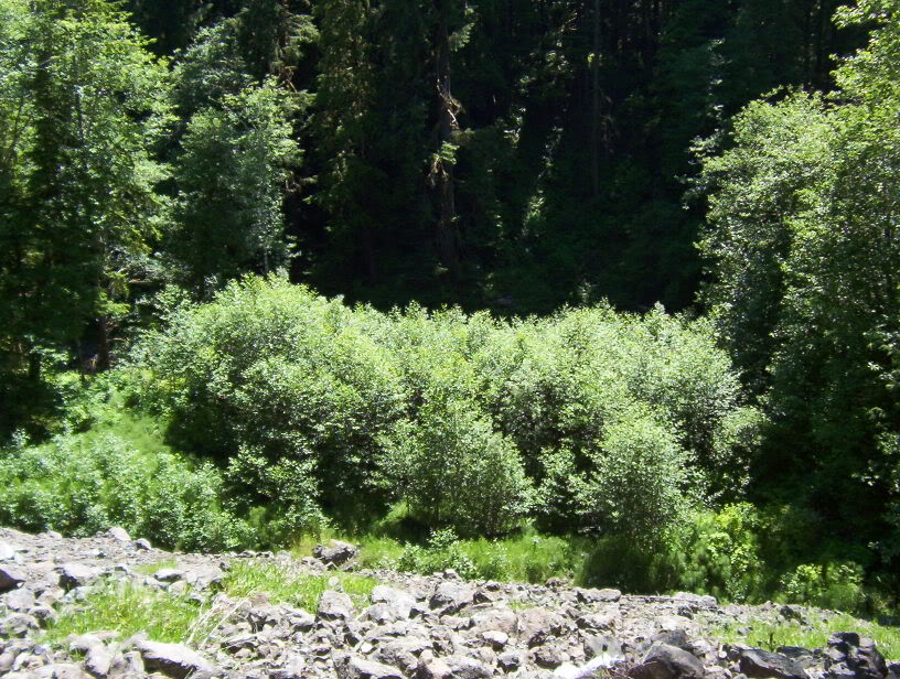 Name:  9.jpg
Views: 25
Size:  171.7 KB