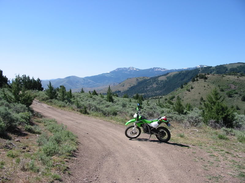 Name:  06192006silvercity014.jpg
Views: 148
Size:  109.5 KB