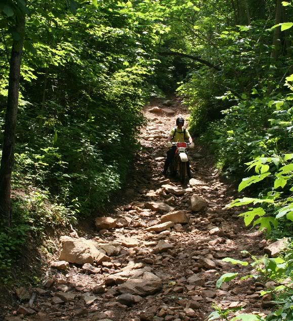 Name:  coal_creek_june06_2.jpg
Views: 103
Size:  140.5 KB