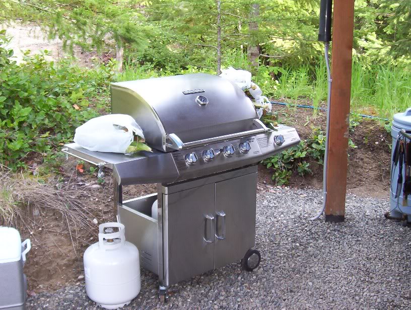 Name:  Barbeque.jpg
Views: 37
Size:  165.2 KB