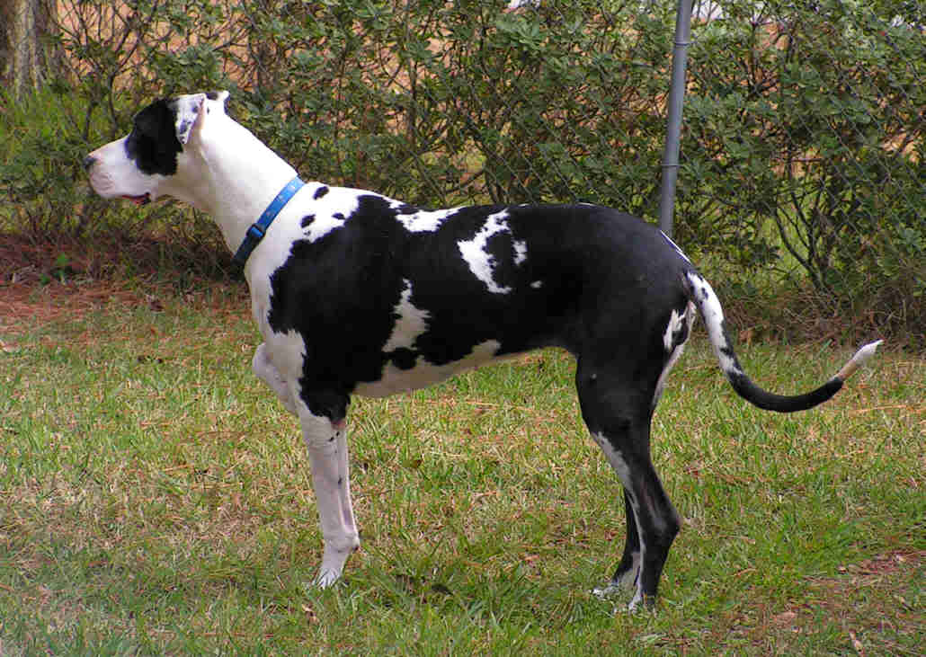 Name: TheHuntress.jpg
Views: 88
Size: 75.5 KB