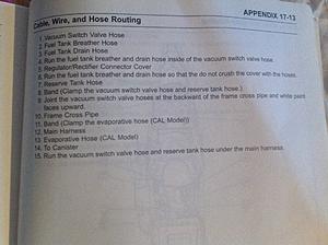 gas tank hose dot colors-image.jpeg