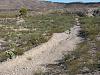 Big Bend NP anyone?-img_0110.jpg