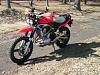 Second bike.. what would you buy?-dualsportninja.jpg