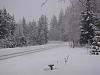 I should have bought a sled instead-img_0599.jpg