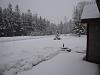 I should have bought a sled instead-img_0598.jpg