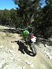 We're Hosting a National Enduro-mustang-1.jpg