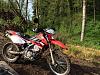  LETS POST SOME PIC OF YOUR BAD @$$ KLXs-1526179_10152083272353977_2149632274017808838_n.jpg