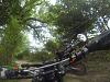  LETS POST SOME PIC OF YOUR BAD @$$ KLXs-g0032108-comp.jpg