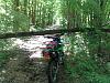What I/you did today on the bike-0523151337.jpg