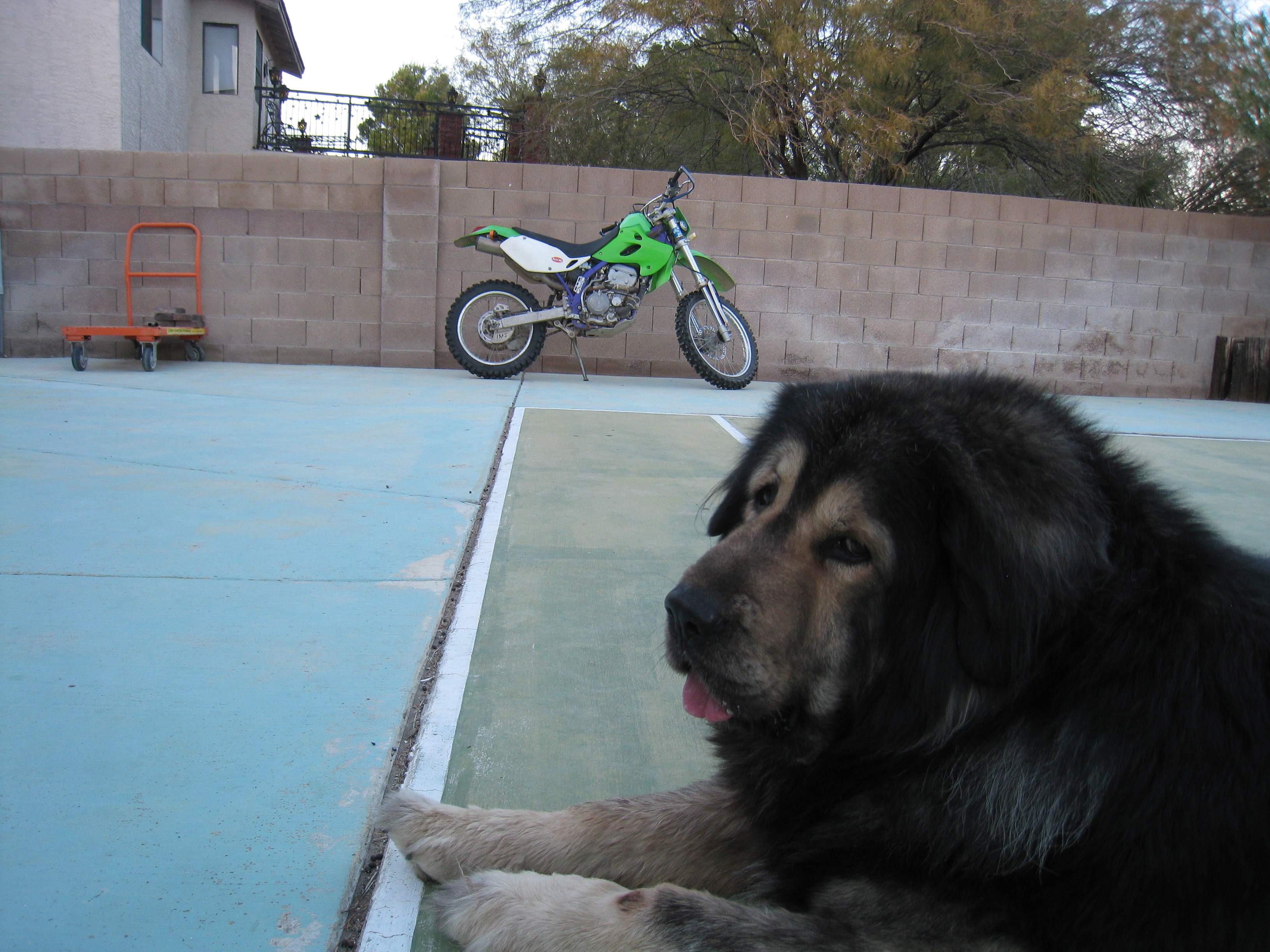 Name:  IMG_0734_zpshv3jyxfz.jpg
Views: 345
Size:  2.02 MB