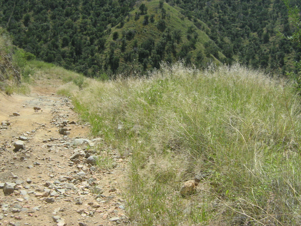 Name:  011_8.jpg
Views: 153
Size:  390.0 KB