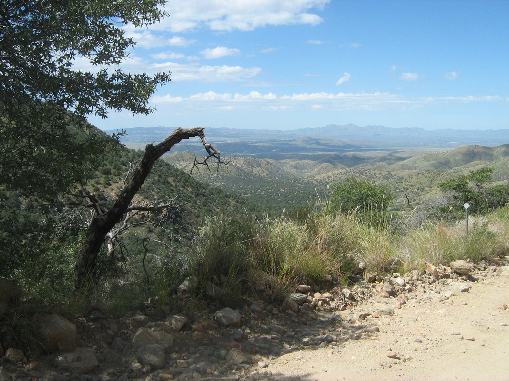 Name:  009_6.jpg
Views: 145
Size:  326.0 KB