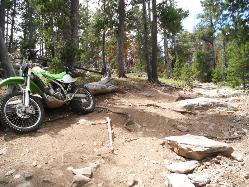 Name:  colorado%20wyoming%20yellowstone%207-2012%2092_zpsaj5yjkgo.jpg
Views: 438
Size:  208.2 KB