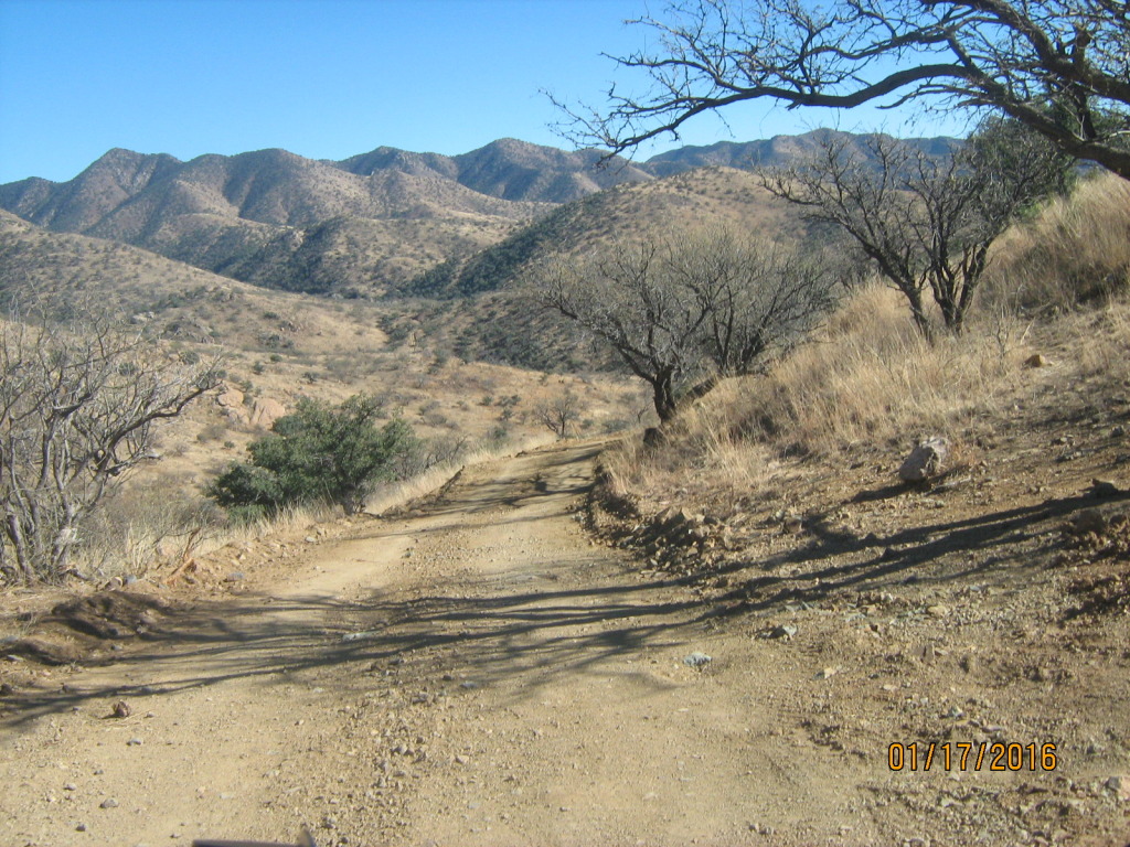 Name:  008_5.jpg
Views: 70
Size:  357.0 KB