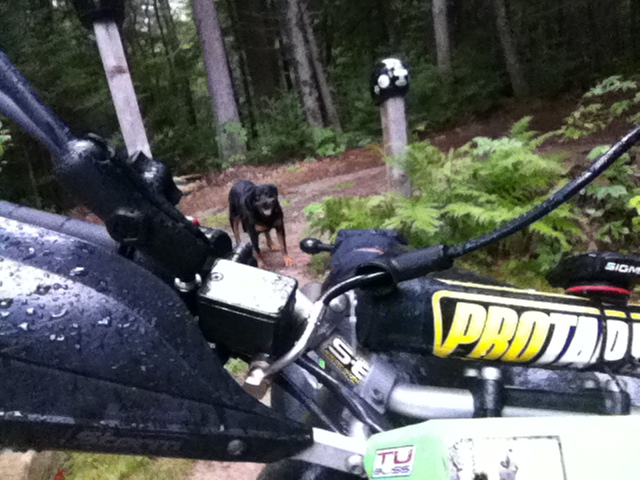 Name:  photo%2011_zpsmnl1jtnv.jpg
Views: 707
Size:  154.5 KB