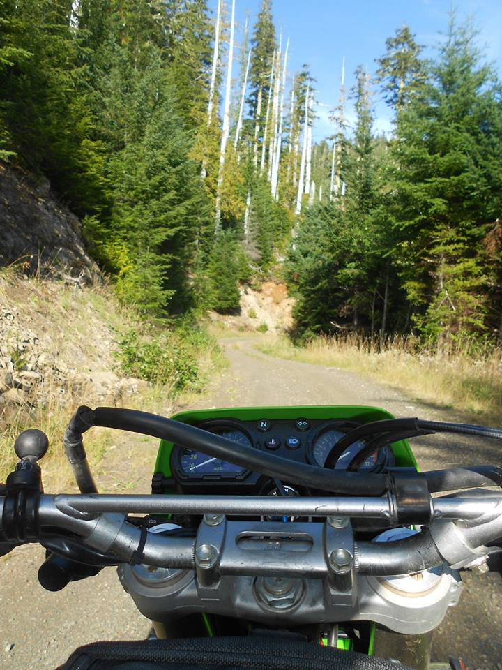 Name:  1601008_10204929240696105_1704299451475125218_n_zpsc166b0b4.jpg
Views: 117
Size:  128.8 KB