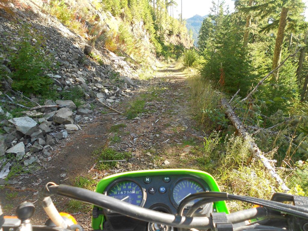 Name:  10353376_10204929257976537_5670318919361534876_o_zpsd56070e1.jpg
Views: 104
Size:  230.0 KB