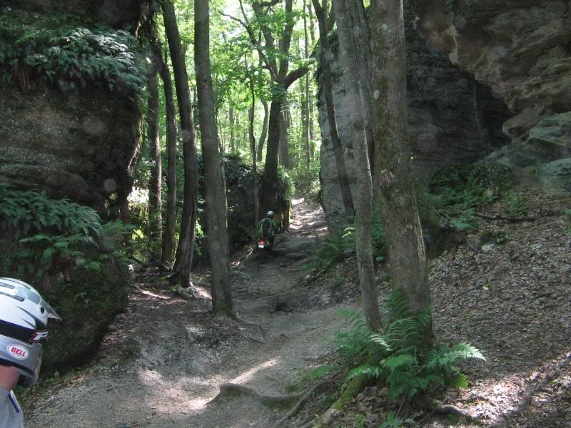 Name:  a47a9c5c.jpg
Views: 16
Size:  102.3 KB