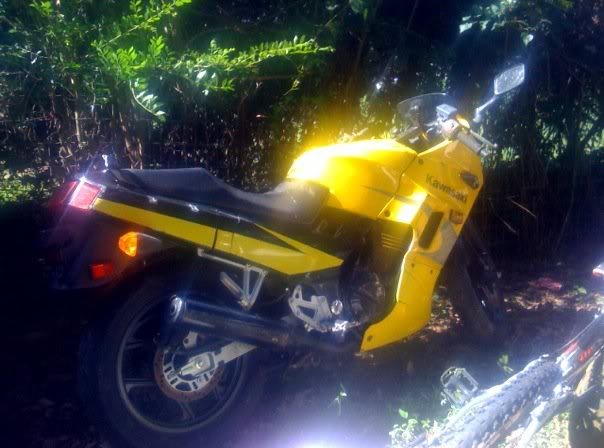 Name:  n1360650413_96910_2568.jpg
Views: 12
Size:  45.1 KB