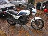 new member with gpz 305-im001329.jpg