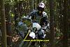 Newbie that read the sticky.-brucee440r2.jpg