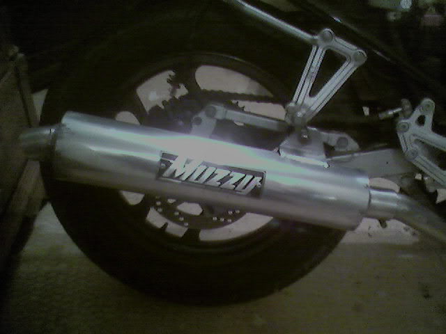 Name:  muzzytag.jpg
Views: 24
Size:  31.2 KB