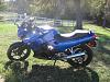 i finally got one!!-img_1366.jpg