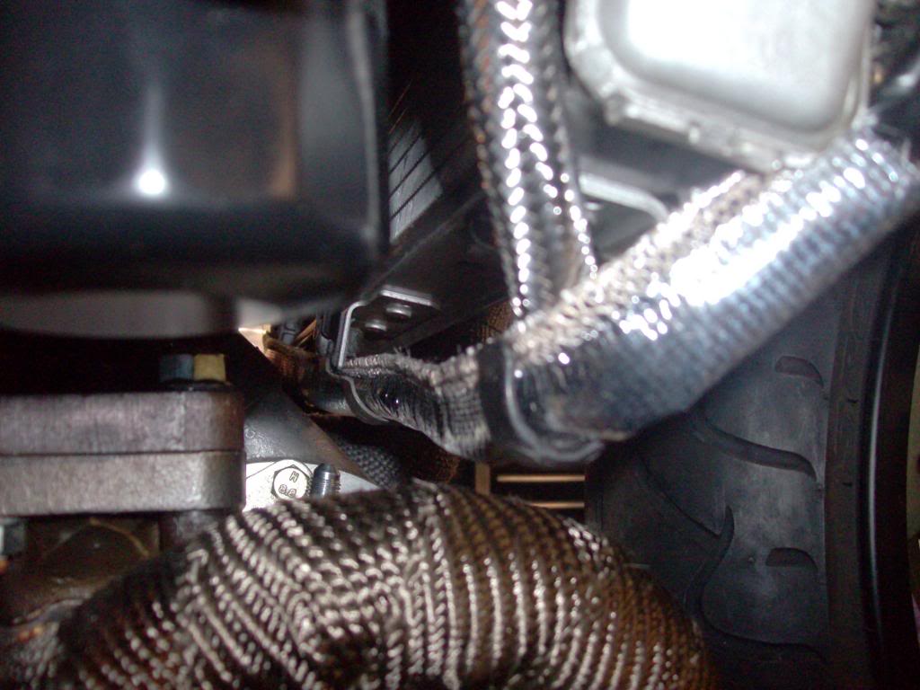 Name:  HPIM6155_zps06689359.jpg
Views: 695
Size:  86.0 KB