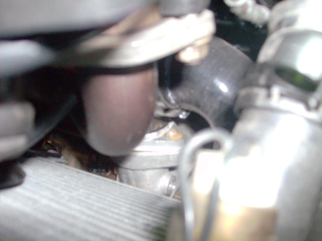 Name:  HPIM6038_zpsf1a03b2d.jpg
Views: 741
Size:  48.6 KB