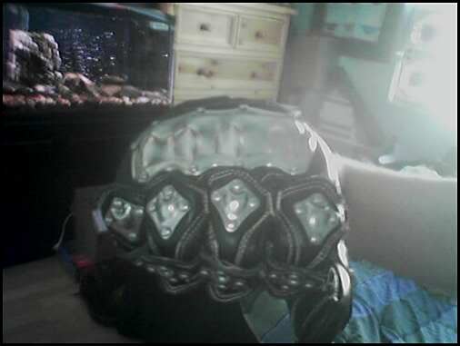 Name:  glove.jpg
Views: 17
Size:  15.3 KB
