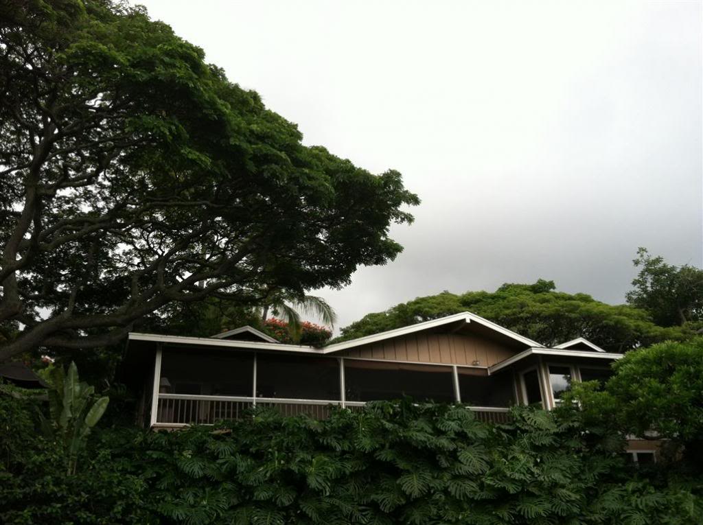 Name: IMG_5355Medium_zps1a84ffc0.jpg
Views: 20
Size: 104.4 KB
