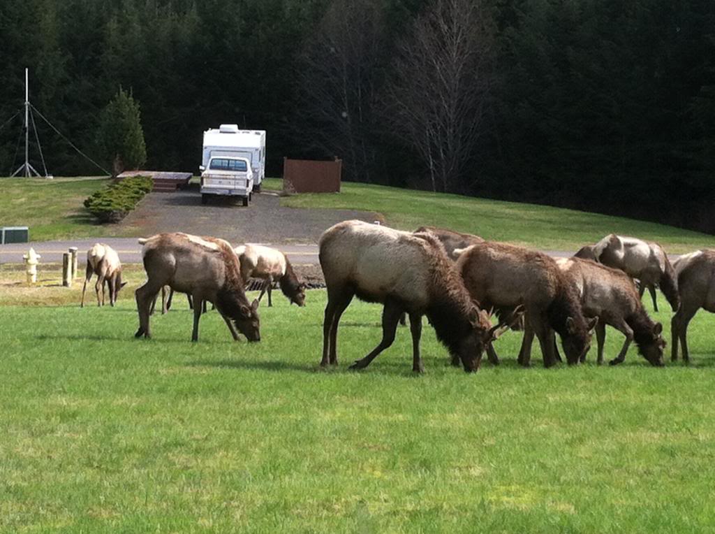 Name: IMG_4570.jpg
Views: 19
Size: 110.9 KB