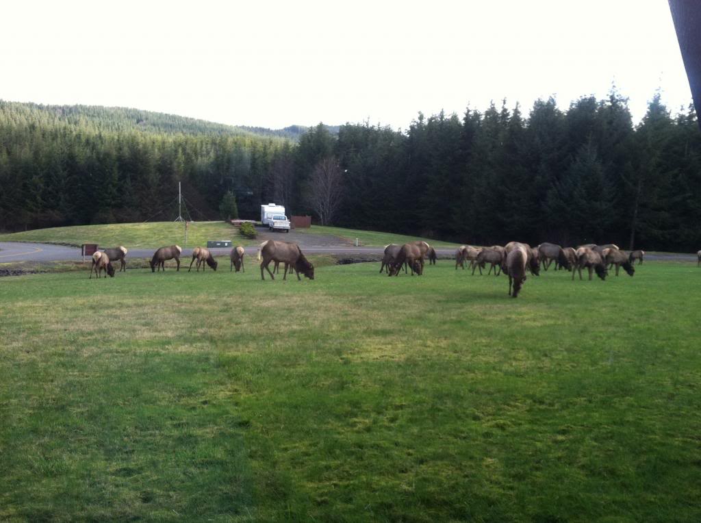 Name: IMG_4584.jpg
Views: 16
Size: 88.0 KB