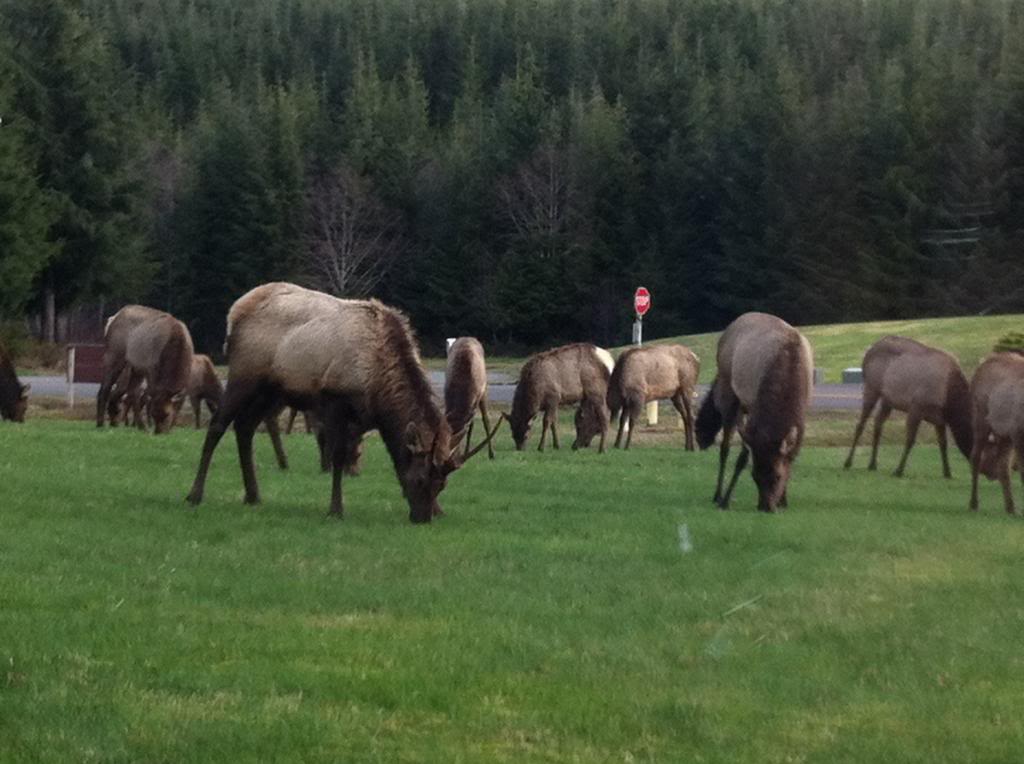 Name:  IMG_4590.jpg
Views: 18
Size:  85.4 KB