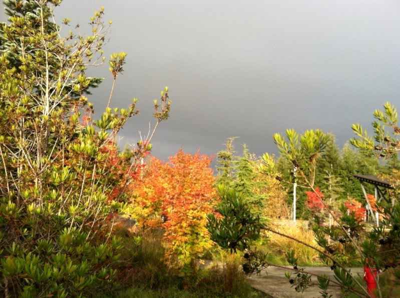 Name: b2dc352d.jpg
Views: 19
Size: 125.1 KB
