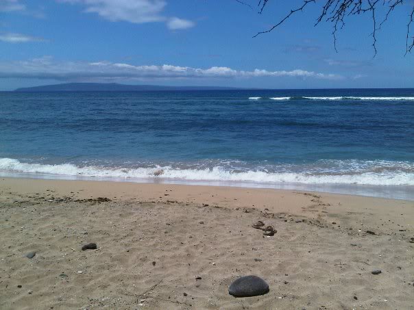 Name:  309084_261210360563849_100000246614558_1019633_1582135_n.jpg
Views: 18
Size:  47.6 KB