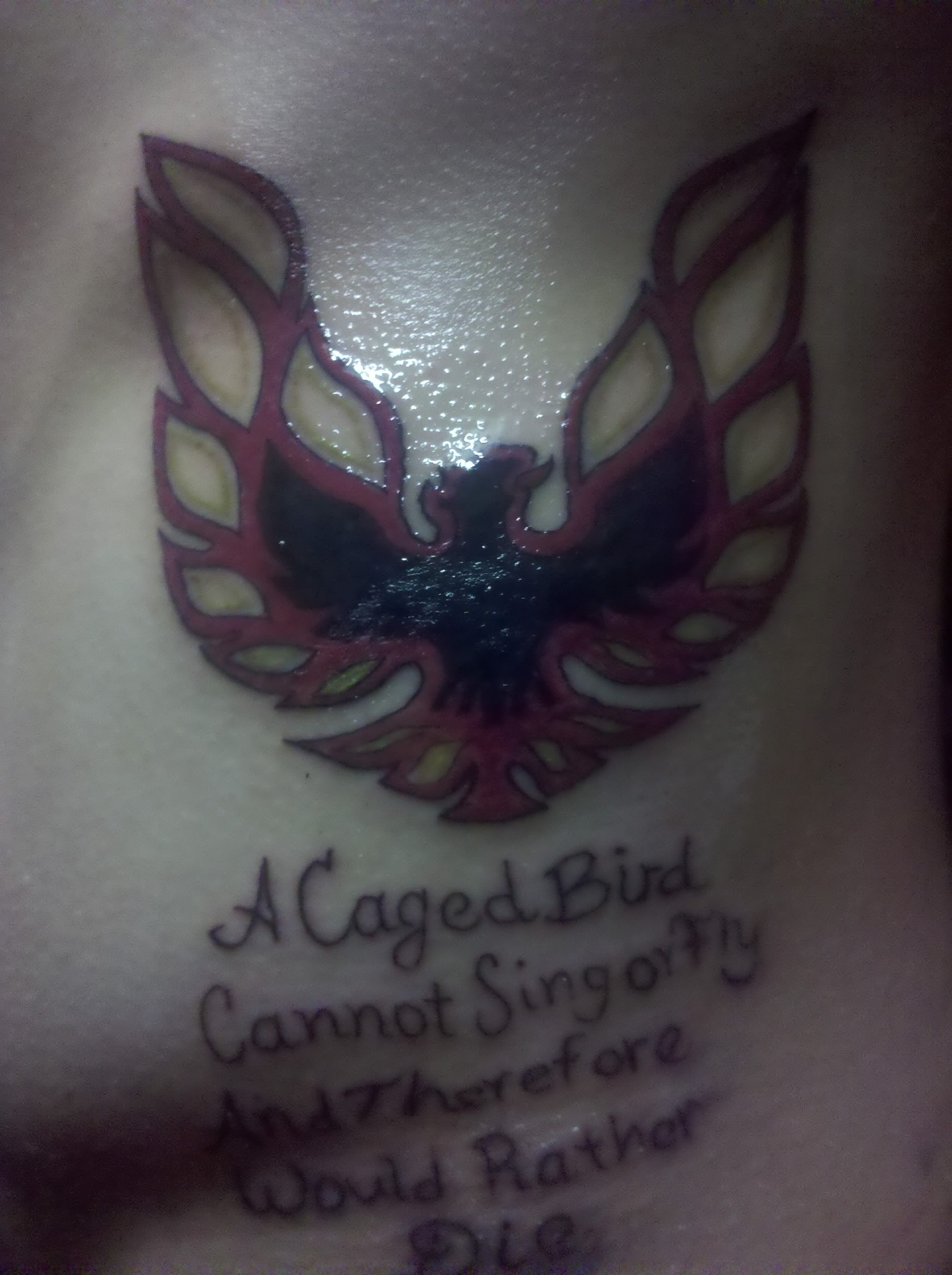 Name:  IMG_20110427_235058.jpg
Views: 19
Size:  416.5 KB