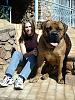Free dog!-becks-dog.jpg