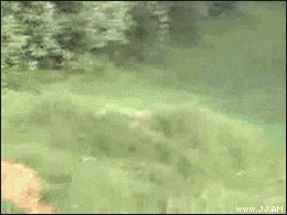 Name:  Crotch_rocket.gif
Views: 30
Size:  1.45 MB