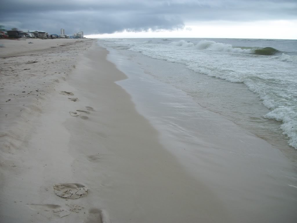 Name:  100_0684.jpg
Views: 35
Size:  83.8 KB