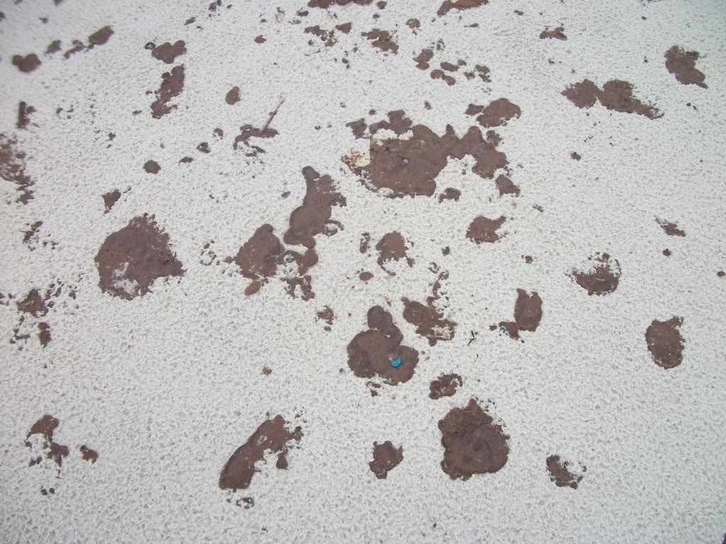 Name:  100_0659.jpg
Views: 80
Size:  216.9 KB