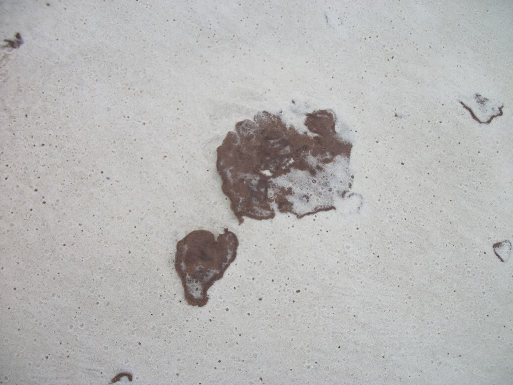 Name:  100_0661.jpg
Views: 39
Size:  141.5 KB