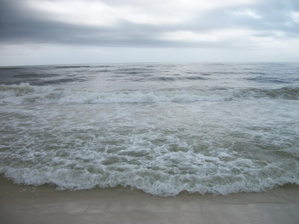 Name:  100_0662.jpg
Views: 33
Size:  130.6 KB