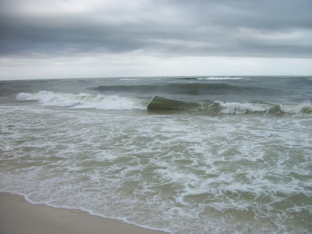 Name:  100_0669.jpg
Views: 71
Size:  114.3 KB