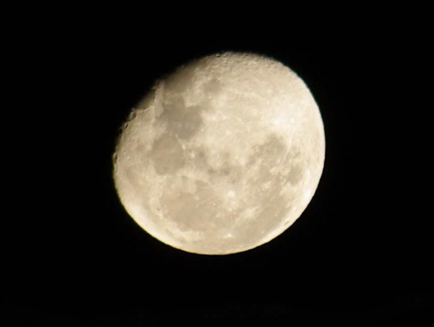 Name:  IMGP3130cropped.jpg
Views: 10
Size:  72.3 KB