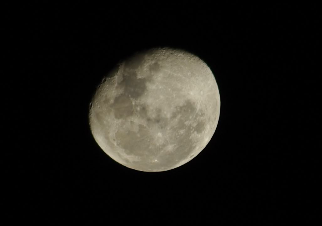 Name:  IMGP3155cropped.jpg
Views: 10
Size:  74.0 KB